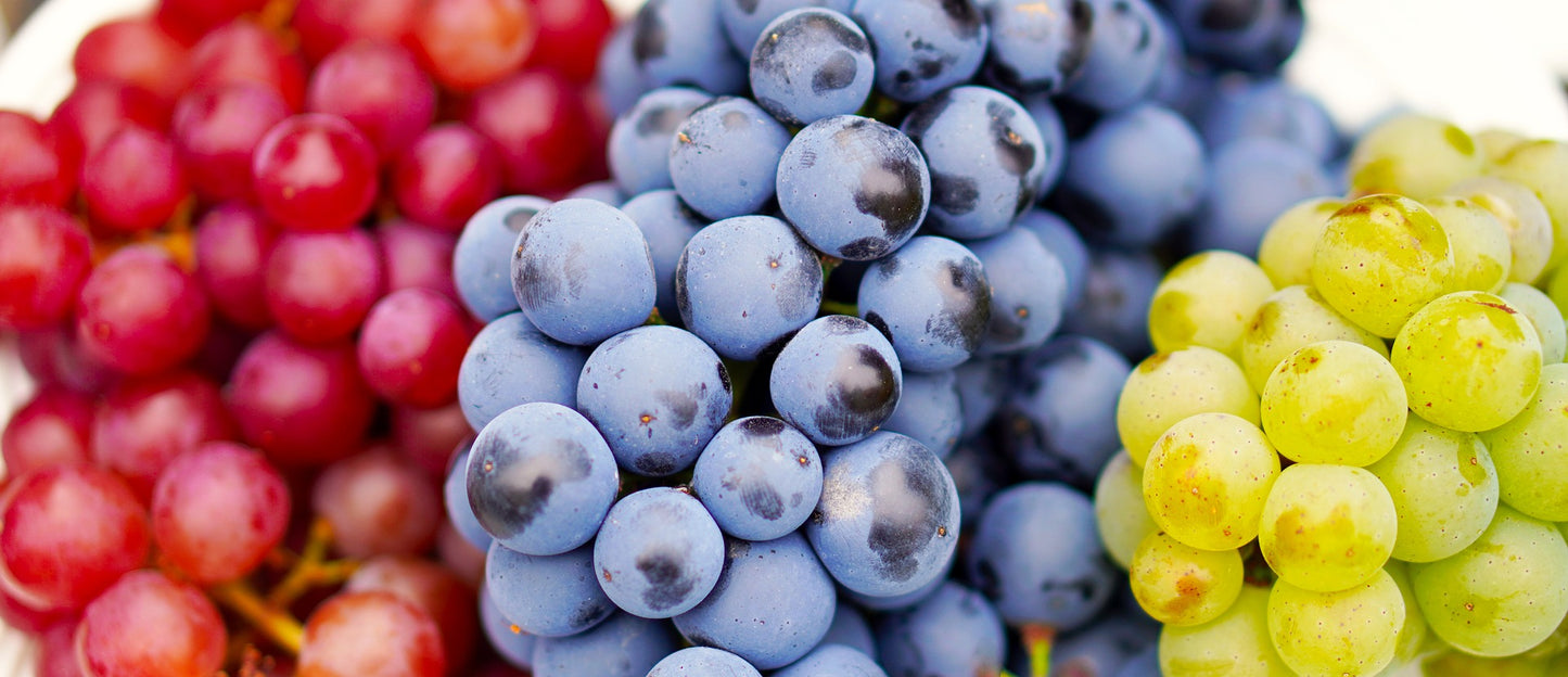 COLOMBIA GRAPE - FRUIT FERMENTATION